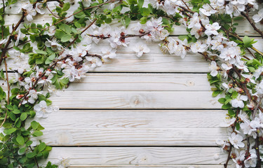 Apricot bloom. Spring wreath frame with white flowers and branches isolated on old retro white wooden table background. Verhead view, top view, copy space.