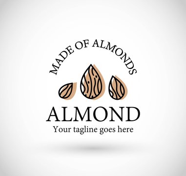 Almond icon vector
