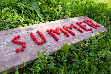 Ripe sweet raspberries in bowl on wooden table © rasskaz