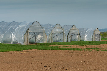 Gewächshäuser mit transparenten Kunststoffolien
