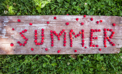 Ripe sweet raspberries in bowl on wooden table © rasskaz