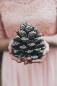 Close-up of a woman's hands holding a pine cone