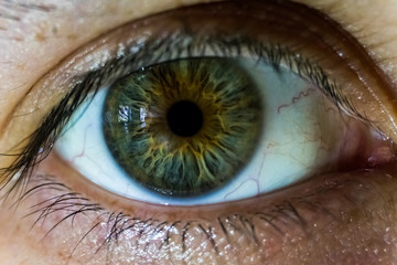 Green Eye