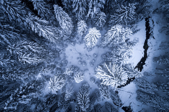 Aerial view of a river running through a winter forest, Zauchensee, Salzburg, Austria