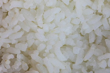 The boiled rice seeds. The macro shot is made by means of stacking technology