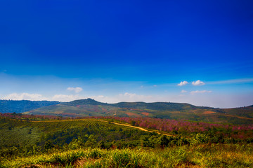 Blue Sky with clouds over mountains with fields