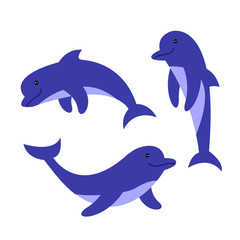 Dolphin isolated on white background for banners, flyers, magazines, stickers, magnets.