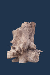 Isolate of beautiful timber used for decorating in the aquarium with clipping path on blue background.