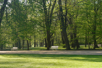 white banches  in Lazienki Park Warsaw Poland