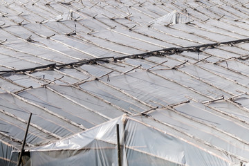 rural greenhouses in the countryside