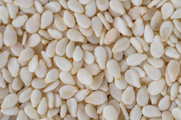 White toasted sesame seeds background, macro shot.