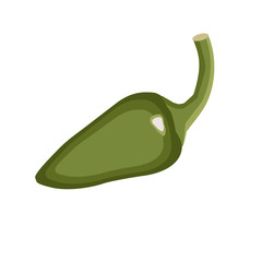 Chili green pepper vegetable, icon on isolated background concept for farmers market organic food in flat style vector illustration