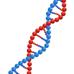 DNA, Biochemistry Concept, VECTOR Illustration Isolated on White Background, Abstract DNA Strand.