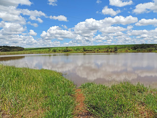 A pond in the farm