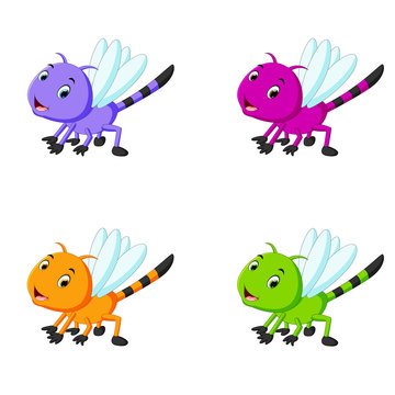 dragonfly with different facial expressions and different color