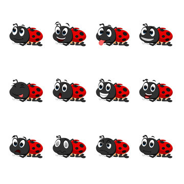 Ladybug with different facial expressions
