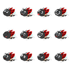 Ladybug with different facial expressions and different color