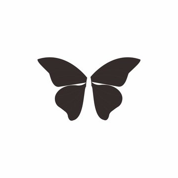 butterfly logo, icon design for illustration