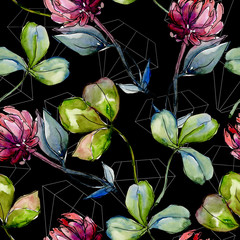 Wildflower clover flower in a watercolor style pattern. Full name of the plant: clover. Aquarelle wildflower for background, texture, wrapper pattern, frame or border.