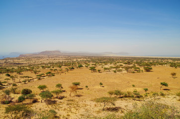 Fototapeta na wymiar Aerial view of african savanna and alkaline lakes Shala and Abijatta in background. Nature and travel. Ethiopia, Rift Valley, Oromia Region, Abijatta-Shalla National Park