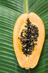 Tropical Nature Background Ripe Halved Papaya on Large Green Palm Leaf. Healthy Food Lifestyle Vitamins Summer Travel Vacation Concept. Poster Streamer Template with Copy Space