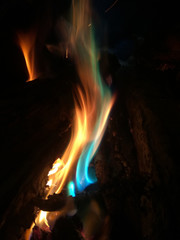 bonfire