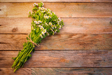 bouquet of chamomile on the old grunge wooden background with space for text