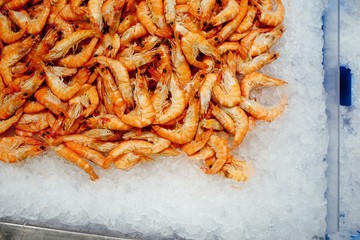 fresh shrimps on ice tray