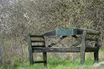 Holzbank