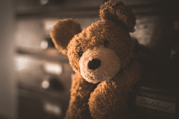 Teddy in alter Schublade