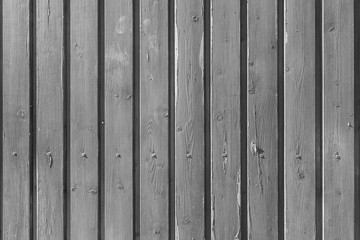 Fototapeta premium Holzwand