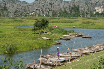 Vietnam Nature