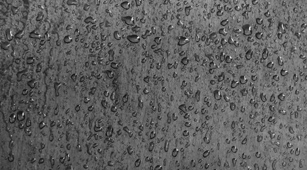 blackboard background with water drops