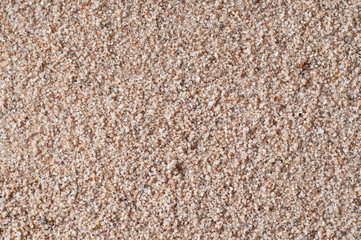 Golden Gritty Sand Closeup Background Texture