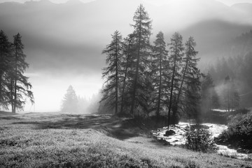 Morgenstimmung in Graubünden