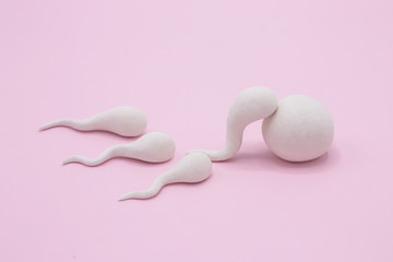 Handmade Polymer Clay Figure of Human Sperm Impregnate a Fertile Human Egg