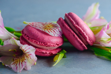 Pink French macaroon cookies with pink alstroemeria flowers on a concrete background with copy space. Valentine sweets close-up