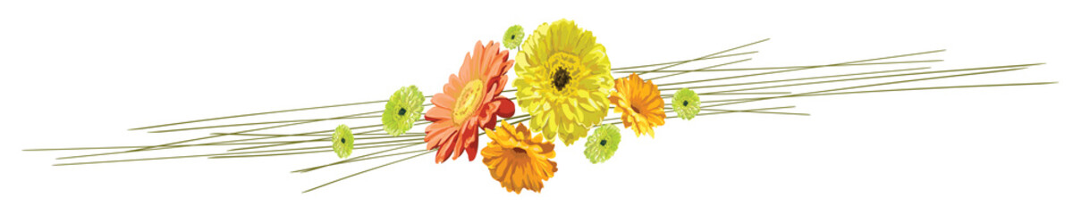 Horizontal banner with a bouquet of flowers brightly drawn gerberas and chamomiles yellow, orange and green