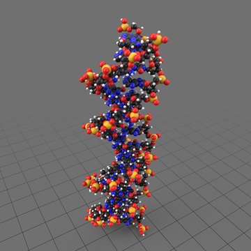 Strand of DNA