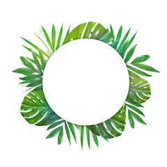 Creative layout of foliage on a white background with space for text. Frame of green leaves. Floral background. View from above