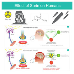 Effect of Sarin on Humans.