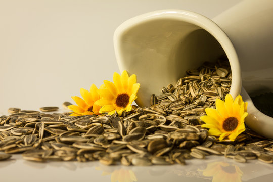 suflower vase seeds