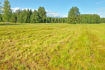 In the field, once the grass is cut.
