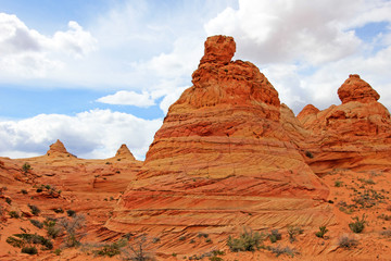 Cottonwood Teepees, a rock formation near The Wave at Coyote Buttes South CBS, Paria Canyon Vermillion Cliffs Wilderness, Arizona, USA