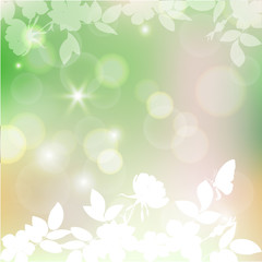 blurred spring background bokeh