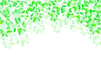 新緑　透過イメージ　背景