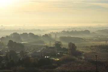 PAisaje mediterráneo, con neblina matinal, frutales y pinos.