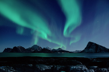 Northern Lights, Aurora Borealis shining green in night starry sky at winter Lofoten Islands, Norway