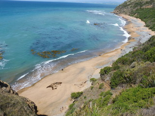 New Zealand beach south island next to Dunedin