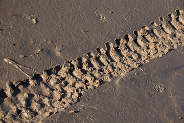 Motorcycle tyre trace on a dirt soil